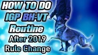 THE NEW schutzhund IPO IGP BH BH-VT Exam Routine 2019 After Rule Change