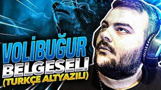 VOLİBUĞUR BELGESELİ (TÜRKÇE ALTYAZILI)