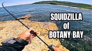 Big squid of Botany Bay