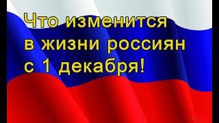 Что изменится в жизни россиян с 1 декабря!