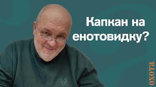 Капкан на енотовидку. Валерий Кузенков о капканах.