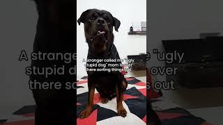 #rotter #dog #rottie #dogowner #rotts #funny #pets #petowner #dogbreed #viral #trending #shorts