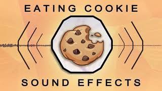 Eating Cookie | Free Sound Effect