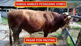 HARGA SAPI HARI INI - PASAR PON HARGA MURAH