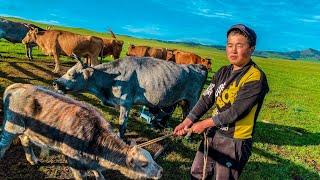 Утро Монгольских КОЧЕВНИКОВ! Как живут потомки ЧИНГИСХАНА?! Country life.ASMR. MONGOLIA