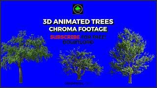 Tropical Palm Tree Animated || Free Green Screen Video Footage || GREENPRISM, INDIA