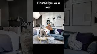 Бабушка и кот #мем #смех #мемы #ржака