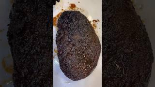 The Ultimate Test- Does the brisket jiggle? #brisket #smokedbrisket #bbq #foodshorts