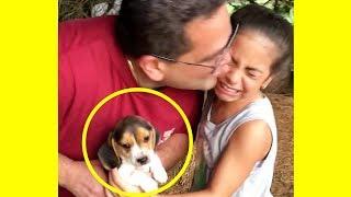 These Families Getting Surprised With ADORABLE Pets Will Make You Happy!