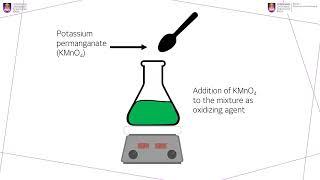 CDU2022_B032 : Highly Blue-fluorescence Emission of Graphene Quantum Dots Nanoparticles (GQDs)