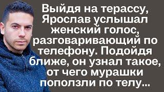 Выйдя на терассу, Ярослав услышал женский голос, разговаривающий по телефону. Подойдя ближе, он...