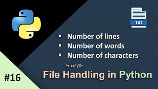 File Handling in Python Assignment|Find Number of characters,words and lines in File|Python Tutorial