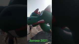 Затока пляж 2021