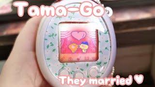 Tama-Go Marriage - No baby yet ?