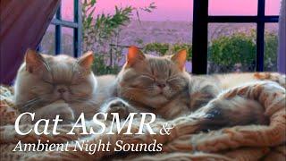  Relaxing Cat Purring ASMR | Ambient Night Sounds for Deep Sleep and Stress Relief 