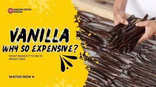 why vanilla is so expensive? | vanilla | why so expensive | knowledge Media