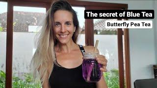 The secret of Blue Tea - BUTTERFLY PEA FLOWER TEA