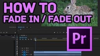 How to Fade In and Fade Out Effect in Premiere Pro CC