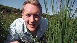 Ben Waddams BBC Earth Presenter Search 2018 - The Meres and Mosses