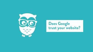 Does Google Trust Your Website?