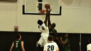 Don't Make 7'6 Tacko Fall Mad - Liberty @ Olympia Highlights