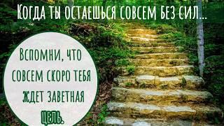 Григорий Т. "Духовное пробуждение." Спикерское на группе АН г. Чикаго