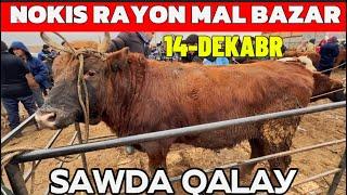 14-ДЕКАБРЬ НОКИС РАЙОН МАЛ БАЗАР/СКОТНЫЙ РЫНОК/BUQALAR/BIGGEST BULLS IN THE WORLD/BIGG BULLS