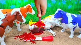 BAQRAEID‼️POTONG SAPI WADIDAU PROSESS SIMOLASI SAPI IDULIDHA Cow Cartoon VIDEO@toystory7209