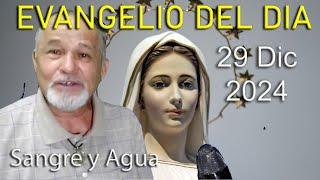 Evangelio Del Dia Hoy - Domingo 29 Diciembre 2024- Sangre y Agua