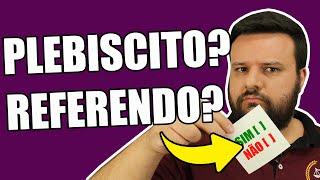 O QUE É PLEBISCITO, REFERENDO E INICIATIVA POPULAR? | CONSTITUCIONAL | O DIREITO E EU