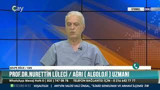 AĞRISIZ YAŞAM | PROF.DR.NURETTİN LÜLECİ | 17.09.2024