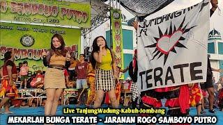 Mekarlah Bunga Terate - Jaranan ROGO SAMBOYO PUTRO Live TanjungWadung Kabuh Jombang