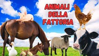 ANIMALI della FATTORIA: Curiosità e Caratteristiche