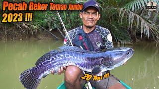 Pecah Rekor Pribadi Toman Jumbo 2023 !!! Full Fight Episode Spesial