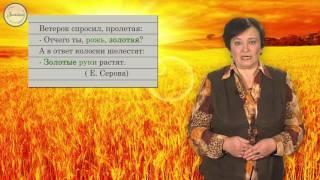 Русский язык 6 класс. Лексика и фразеология