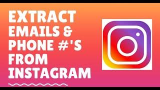 Extract Emails and Phone Numbers from Instagram In 3 Easy Steps