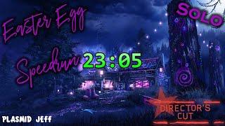Rave in the Redwoods Easter Egg Speedrun (Director's Cut) 23:05