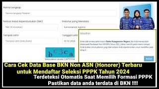 Cara Cek Data Base Non ASN (Honorer) Terbaru di BKN untuk Mendaftar Seleksi PPPK Tahun 2024