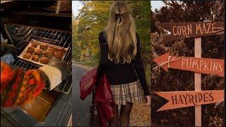 autumn vibes | tiktok compilation