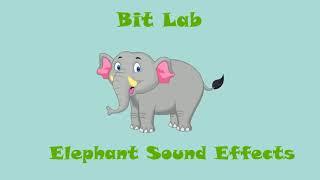 Animal Sounds: Elephant Sound Effects Animation with Variations