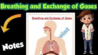 | Breathing and Exchange of Gases |Best notes |Class 11| Biology | Ch-17 notes| @Edustudy_point