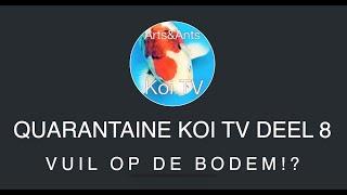 VUIL OP DE BODEM?! QUARANTAINE KOI TV DEEL 8