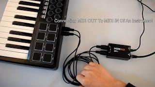 [DOREMiDi] Use RTP-MIDI Network Box (MR-1) to Connect the Instrument to the LAN