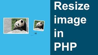 Resize Image in PHP | CodeIgniter