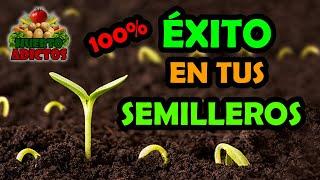 5 Trucos FÁCILES para Tus Semilleros  Consejos rápidos para Sembrar | Huerto Adictos 