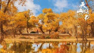 Drone Diary: The beautiful autumn colors deep in the desert