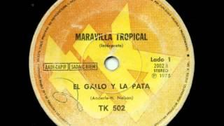 MARAVILLA TROPICAL-EL GALLO Y LA PATA