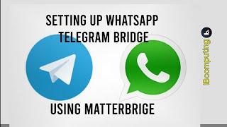 Setting up WhatsApp Telegram Bridge Using Matterbrige