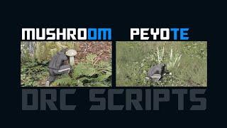 [ESX, QB] FIVEM ADVANCED REALISTIC DRUGS SCRIPTS | PEYOTE AND MUSHROOMS PREVIEW | TEBEX!