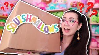 I bought a GIANT RARE MYSTERY SQUISHMALLOW BOX